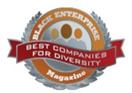BestCompaniesForDiversityArtivleLogo 1.jpg